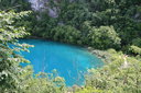 gal/cro 08/_thb_small-IMG_5585.JPG